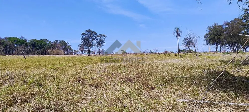 Terreno, 6 hectares - Foto 7