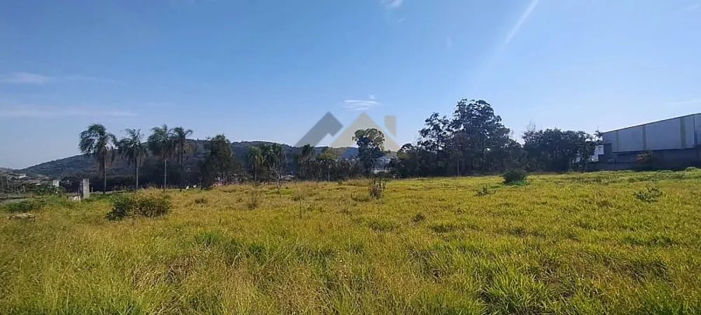 Terreno, 6 hectares - Foto 1
