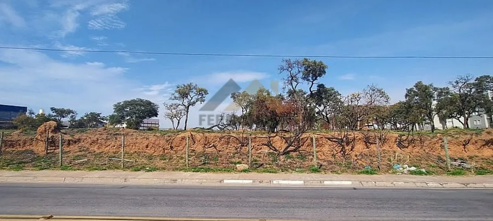 Terreno, 2 hectares - Foto 2