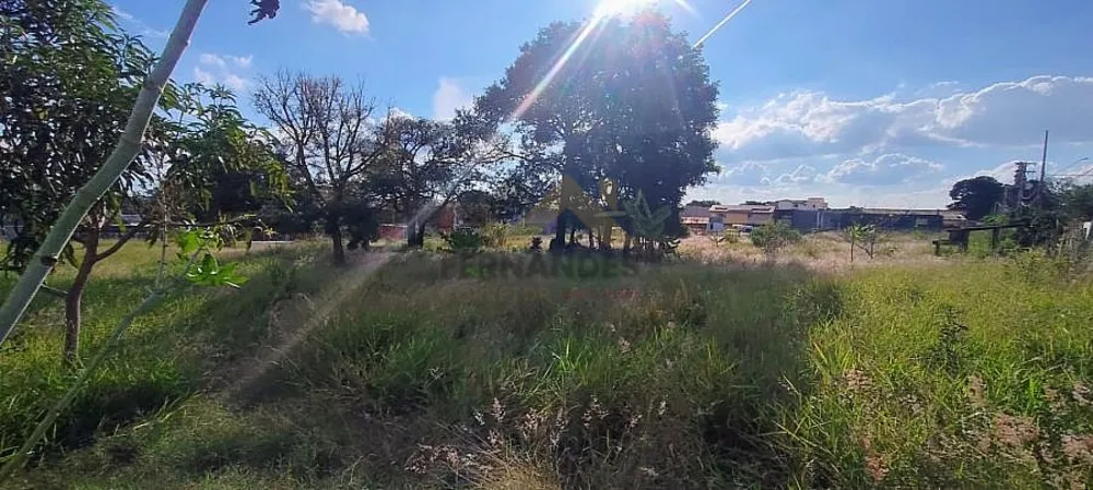 Terreno, 3760 m² - Foto 5