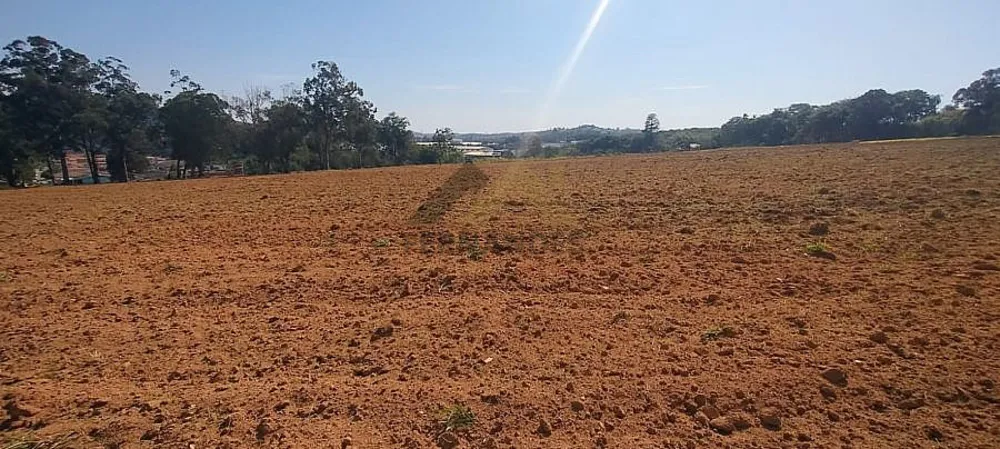 Terreno, 8 hectares - Foto 6