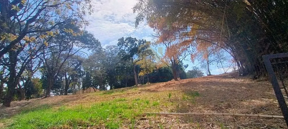 Terreno, 8 hectares - Foto 3
