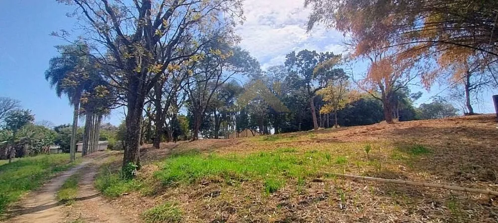 Terreno, 8 hectares - Foto 2