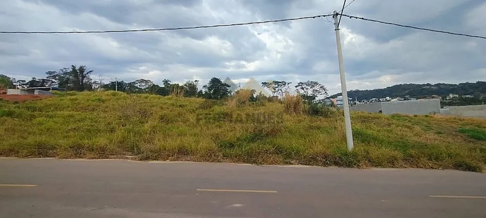Terreno, 250 m² - Foto 4