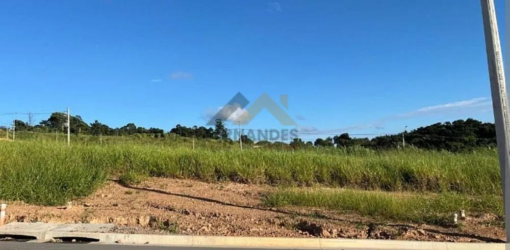 Terreno, 250 m² - Foto 7