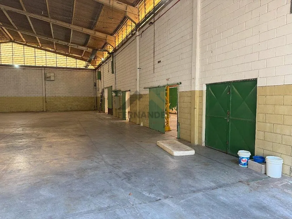 Depósito-Galpão, 1500 m² - Foto 4