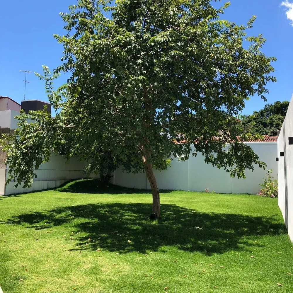 Loja-Salão, 417 m² - Foto 12