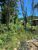 Terreno, 266 m² - Foto 2