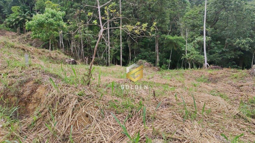 Terreno à venda, 1229M2 - Foto 6