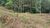 Terreno, 1229 m² - Foto 6