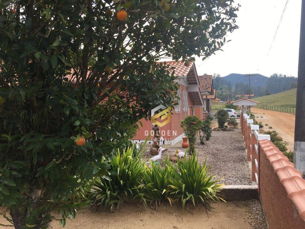 Sítio à venda com 4 quartos, 1750M2 - Foto 4