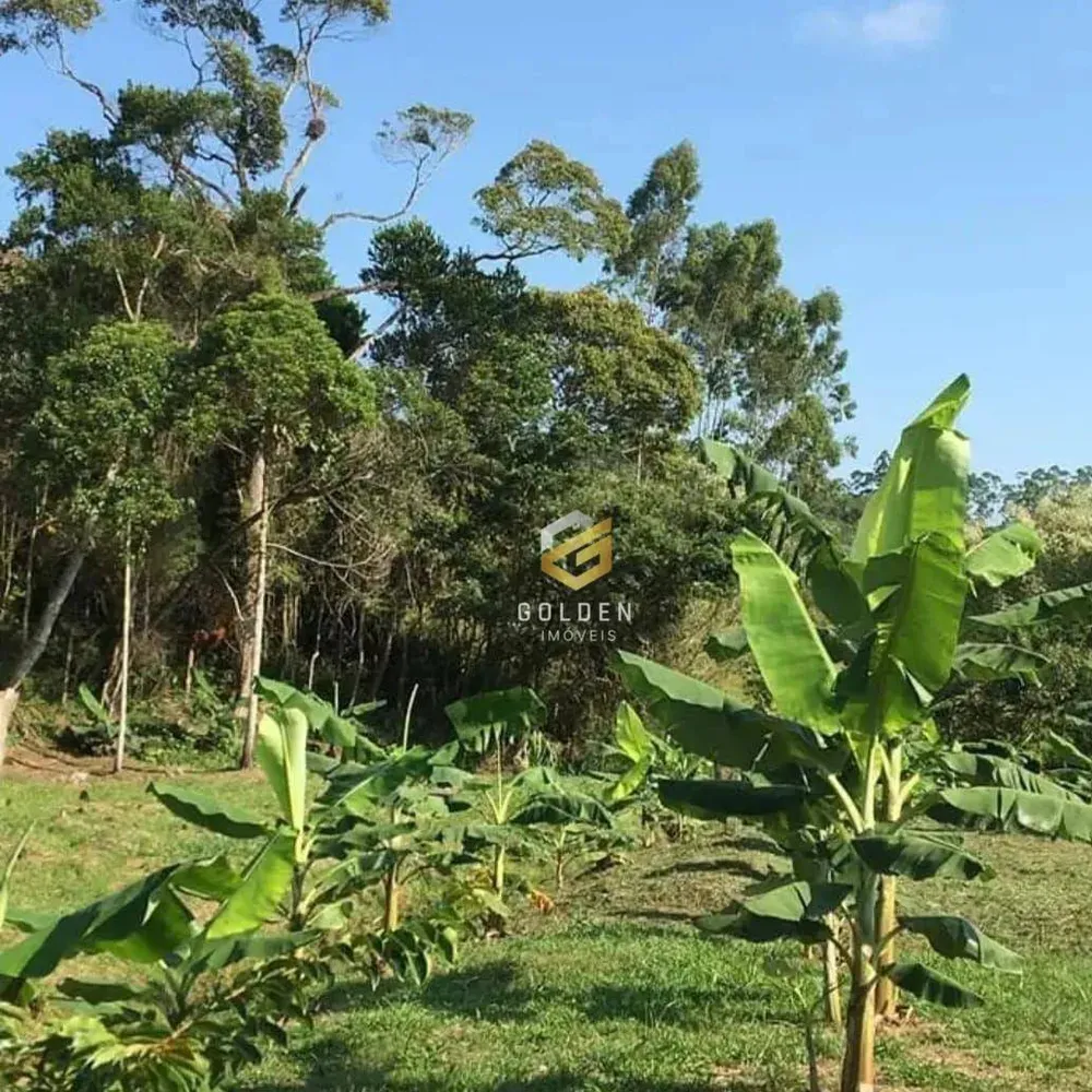 Sítio, 3 quartos, 3 hectares - Foto 3