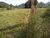 Loteamento e Condomínio, 2 hectares - Foto 2