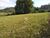 Loteamento e Condomínio, 2 hectares - Foto 1
