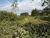 Loteamento e Condomínio, 2 hectares - Foto 4