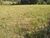 Loteamento e Condomínio, 2 hectares - Foto 3