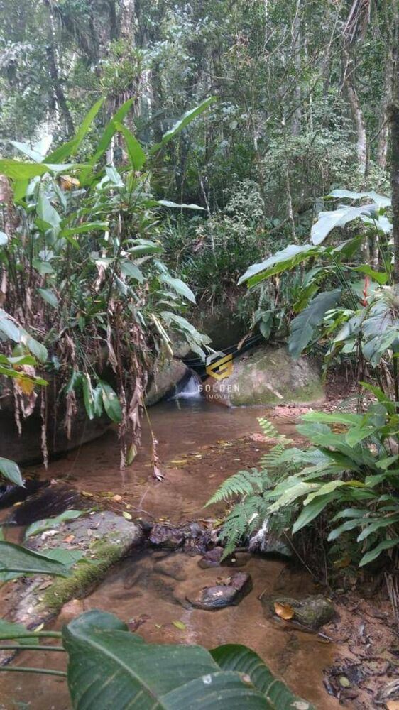 Sítio, 1 quarto, 4240 m² - Foto 5