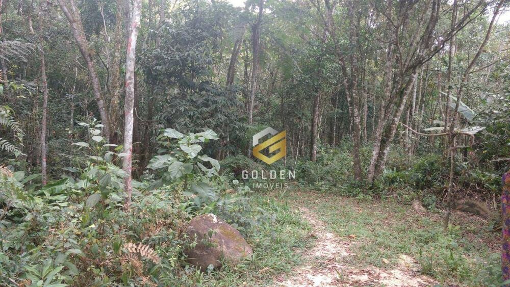 Sítio, 1 quarto, 4240 m² - Foto 1