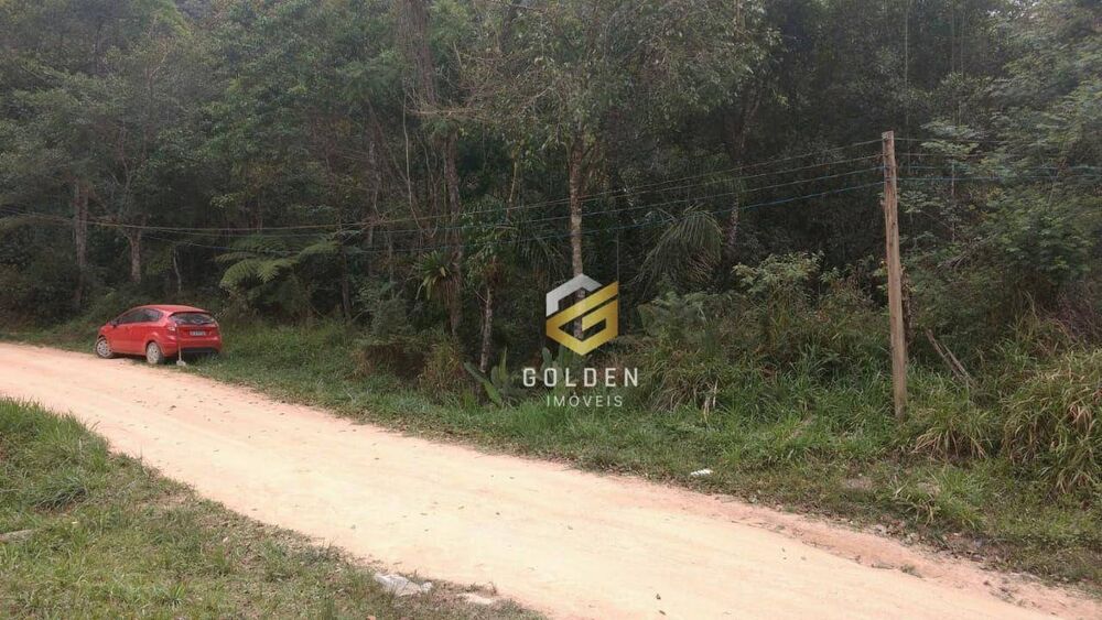 Sítio, 1 quarto, 4240 m² - Foto 7