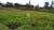 Chácara, 1 quarto, 3 hectares - Foto 1