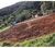 Terreno, 935 m² - Foto 1