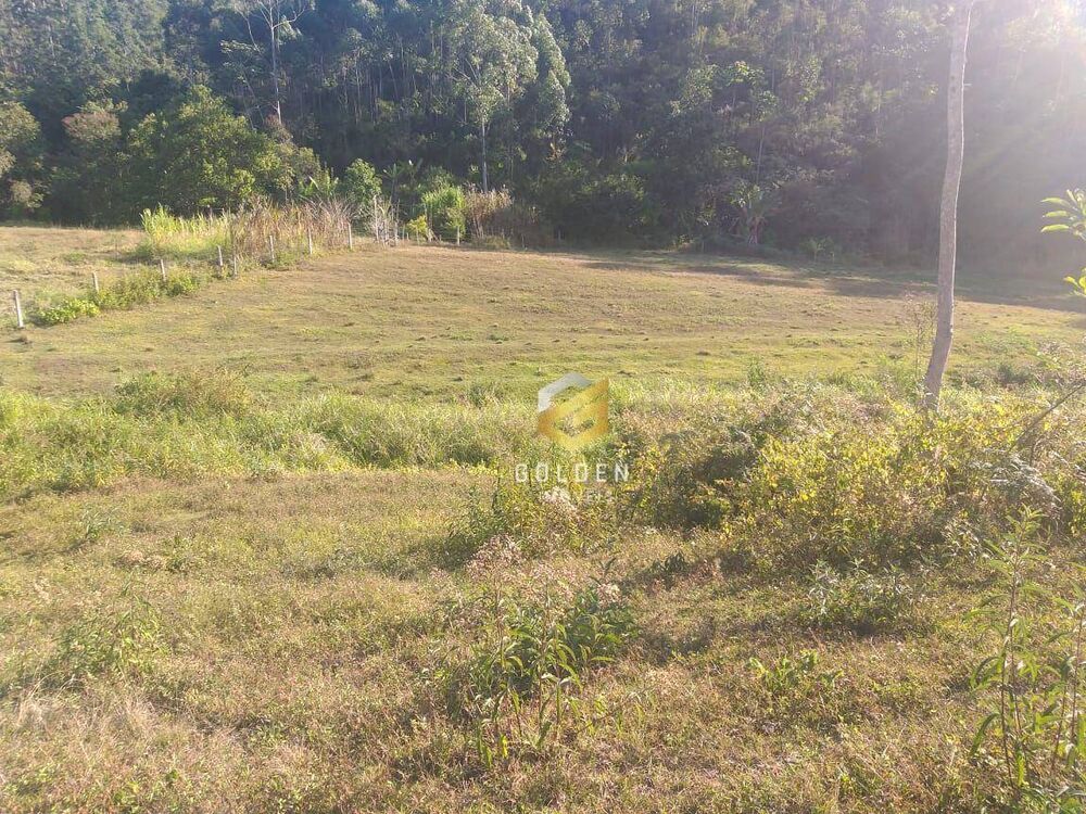 Terreno, 6 hectares - Foto 3