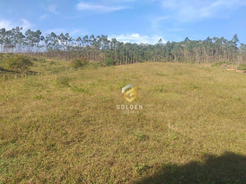 Terreno, 6 hectares - Foto 4