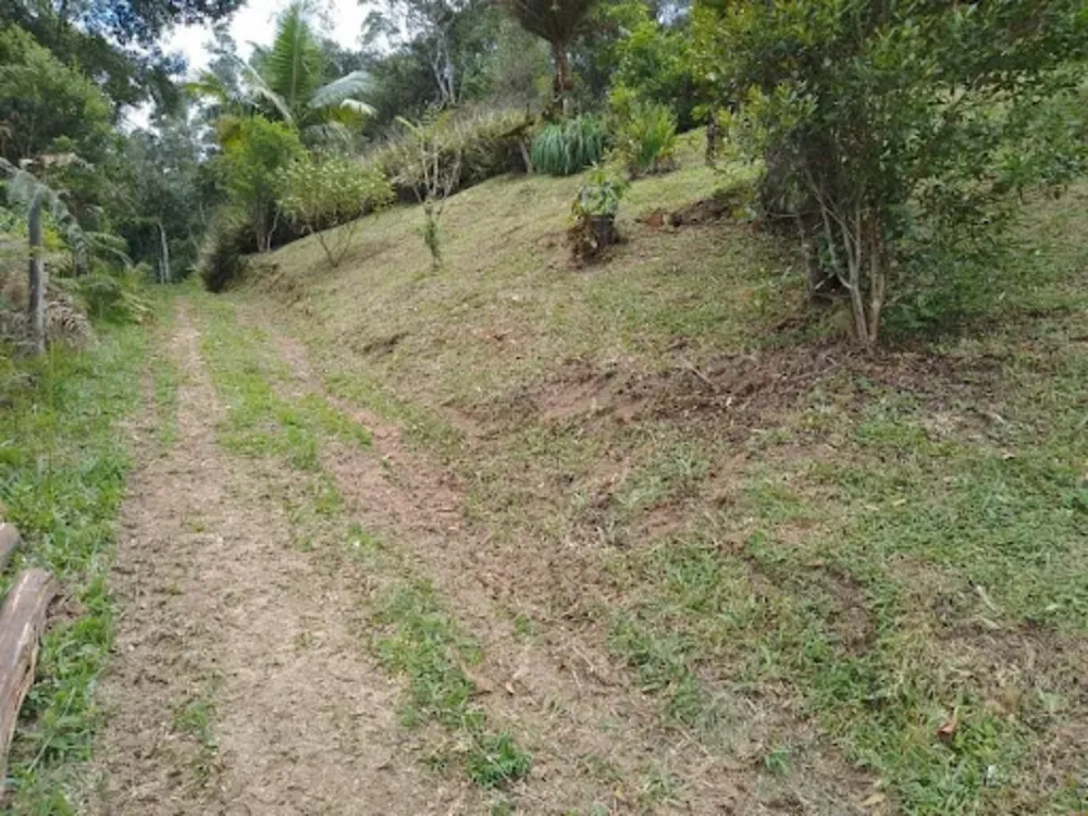 Sítio, 4 quartos, 3000 m² - Foto 6