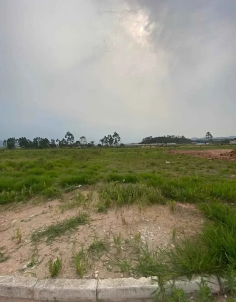 Terreno, 301 m² - Foto 1