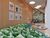 Apartamento, 3 quartos, 81 m² - Foto 3