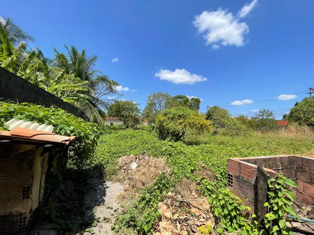 Terreno à venda, 2400M2 - Foto 4