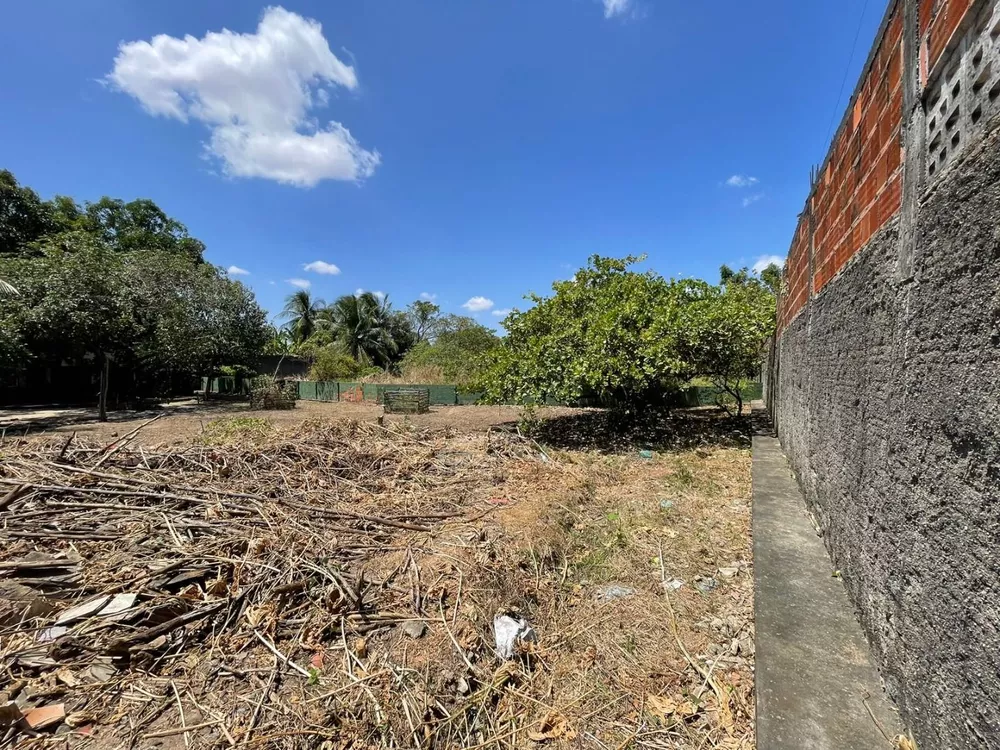 Terreno à venda, 2400M2 - Foto 2