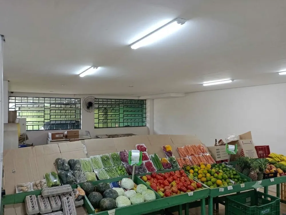 Depósito-Galpão, 800 m² - Foto 4
