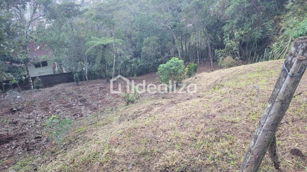 Terreno, 728 m² - Foto 5
