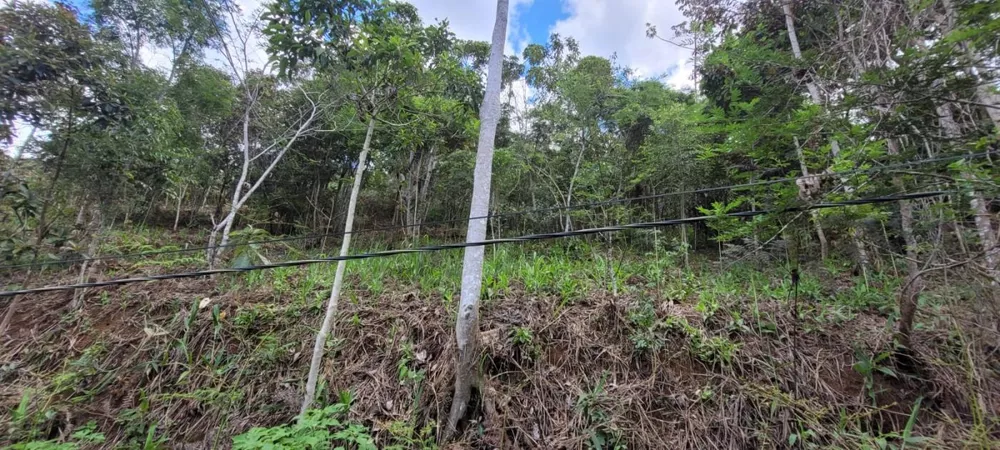 Terreno, 1280 m² - Foto 7