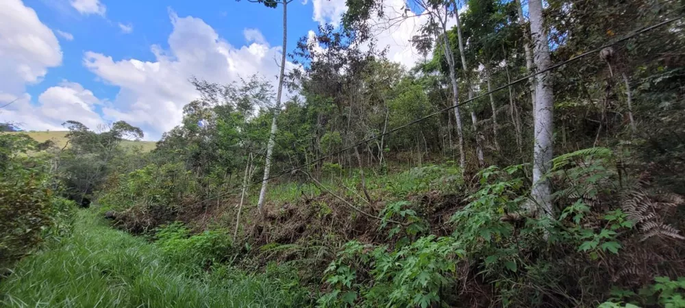 Terreno, 1540 m² - Foto 5