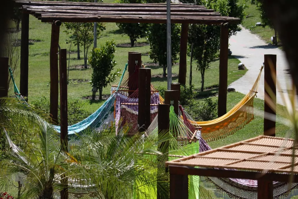 Terreno, 45 hectares - Foto 7