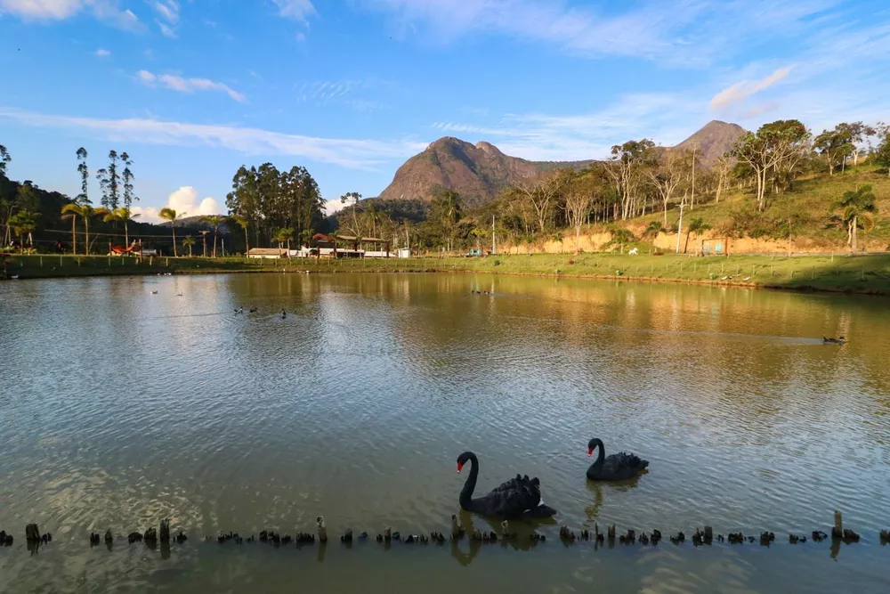 Terreno, 45 hectares - Foto 6