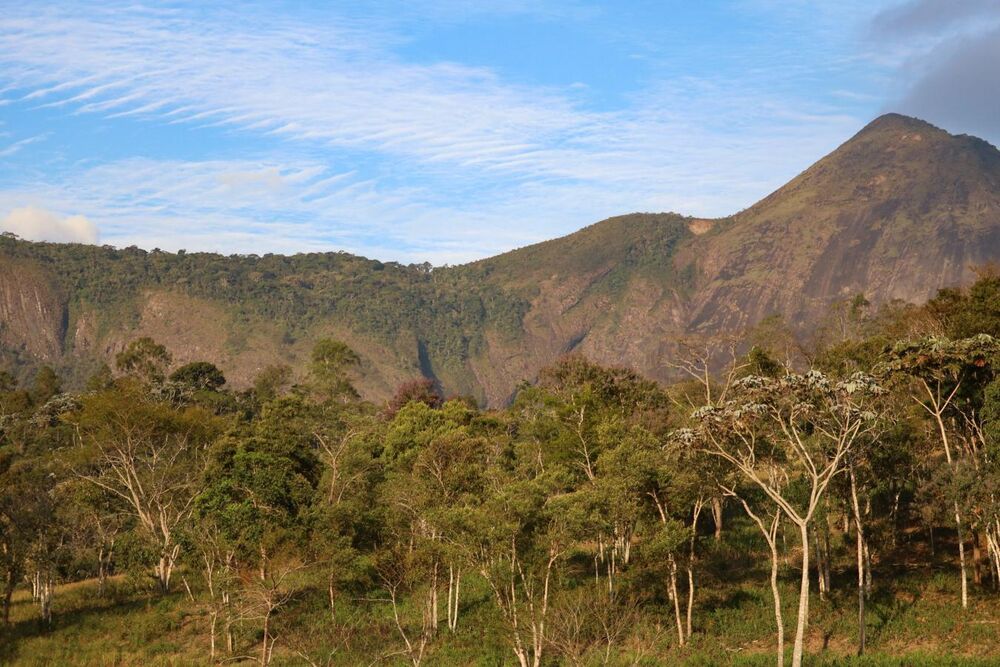 Terreno, 45 hectares - Foto 15