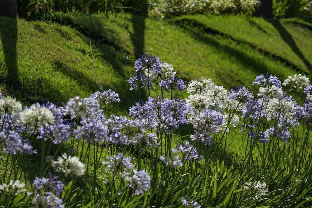 Terreno, 45 hectares - Foto 22