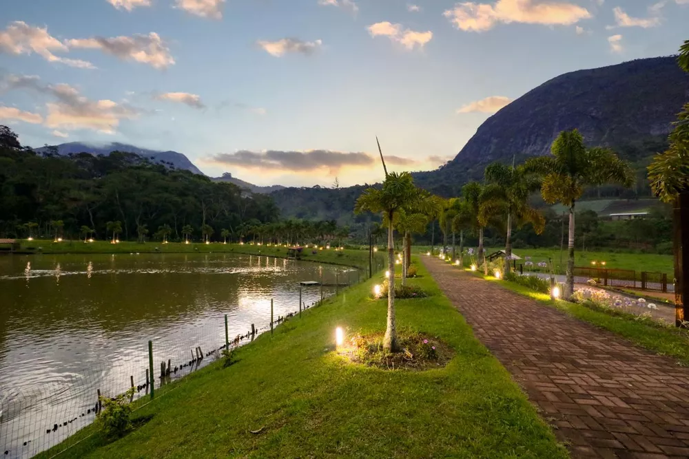 Terreno, 45 hectares - Foto 5