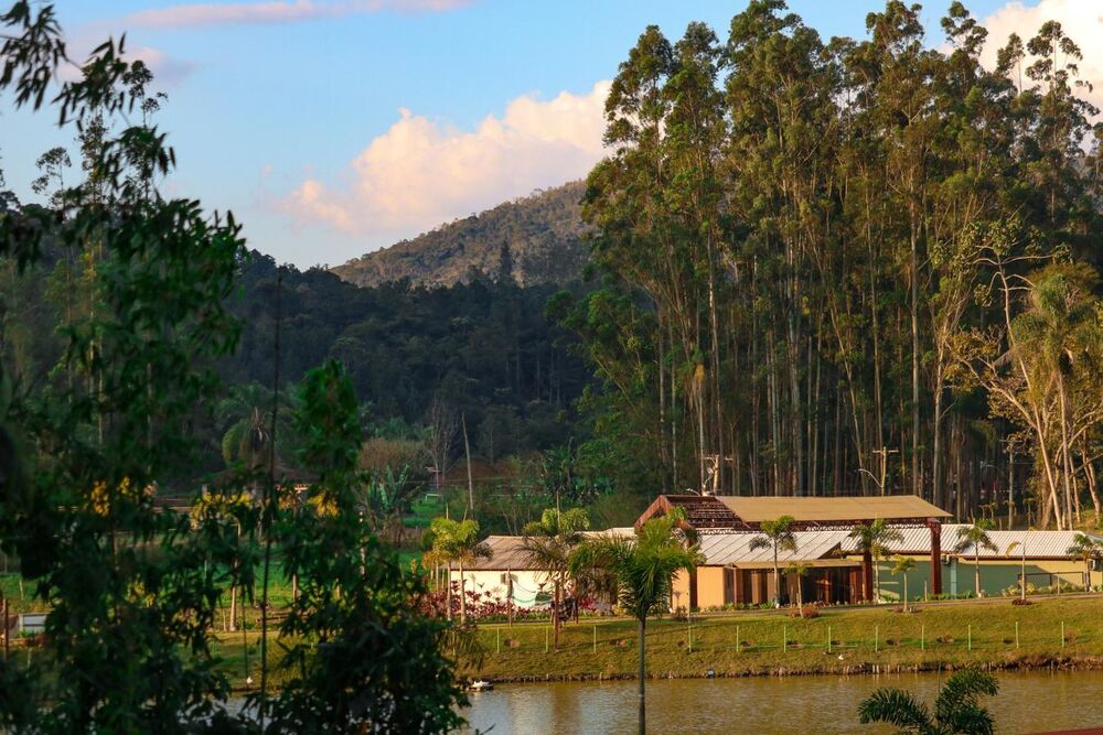 Terreno, 45 hectares - Foto 16