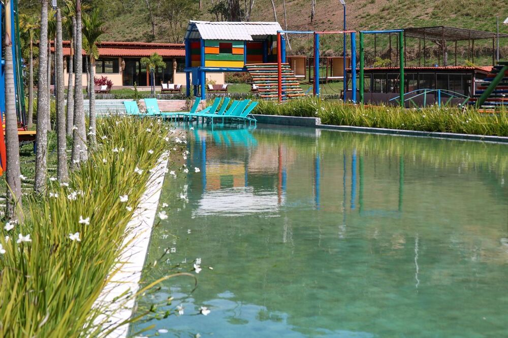 Terreno, 45 hectares - Foto 10