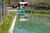 Terreno, 45 hectares - Foto 4