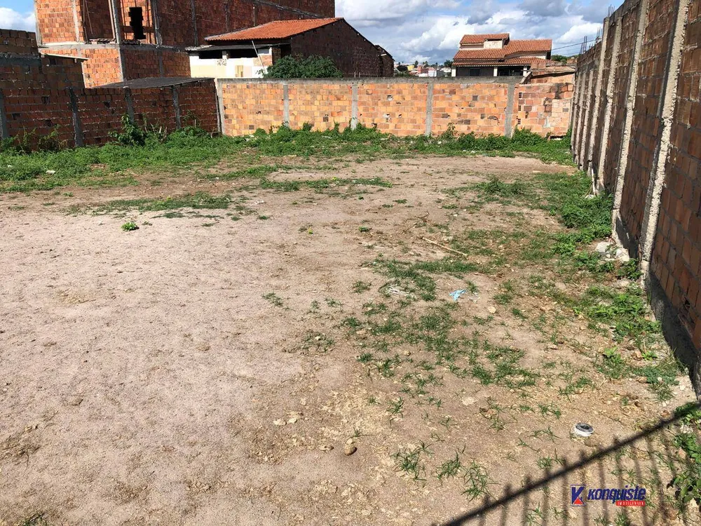 Terreno - Foto 4