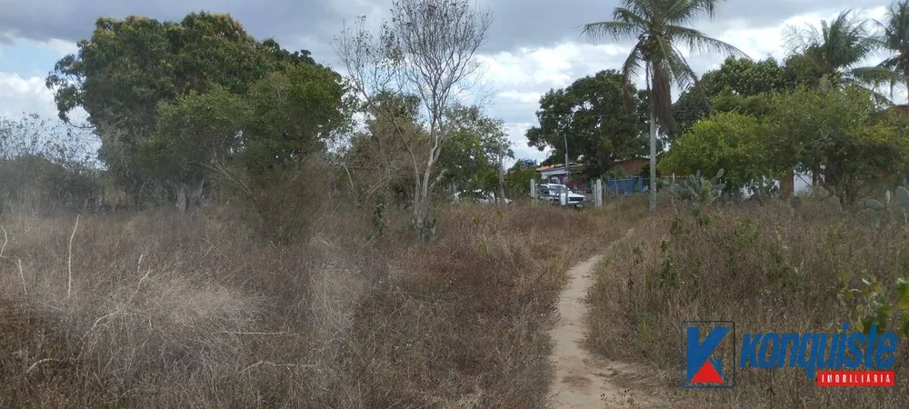Terreno - Foto 5