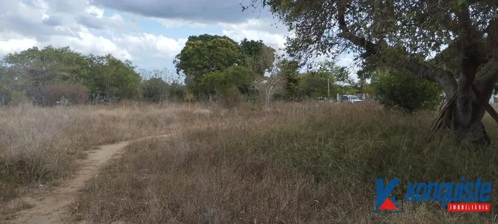 Terreno - Foto 6