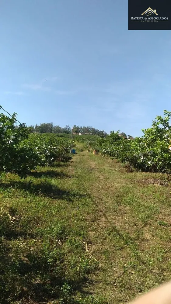 Chácara, 6 quartos, 5 hectares - Foto 16