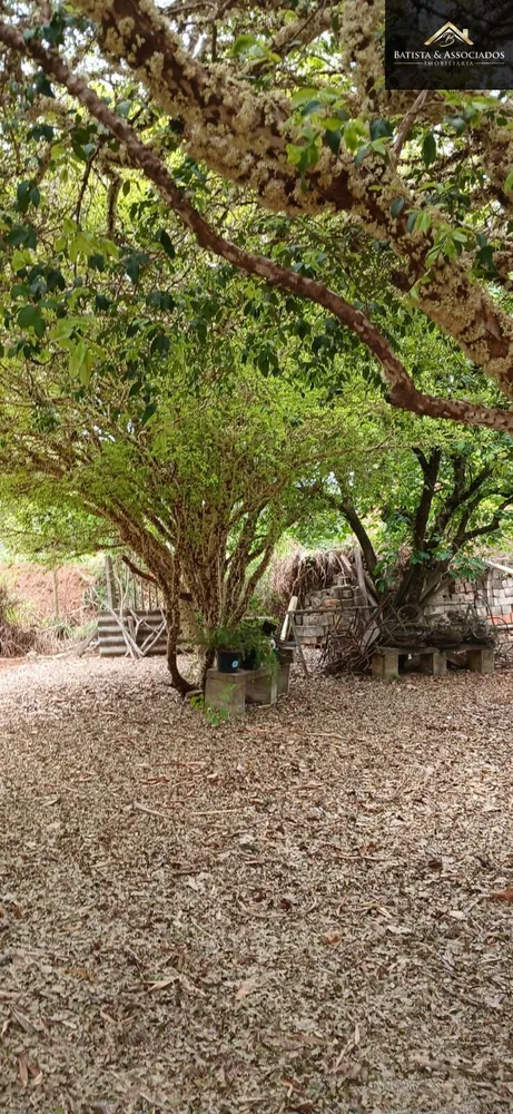 Terreno, 2500 m² - Foto 16