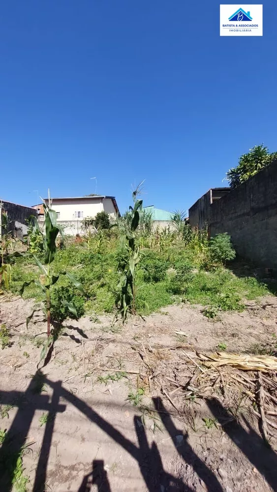 Terreno à venda, 250m² - Foto 2